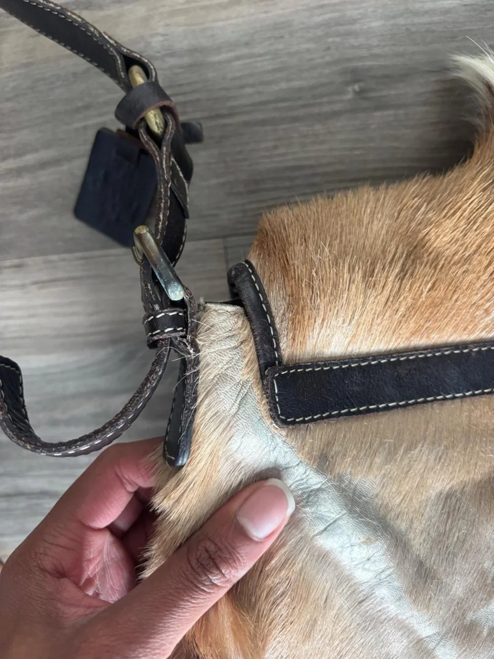 Haircalf Brown Crossbody Bag with Contrast Strap